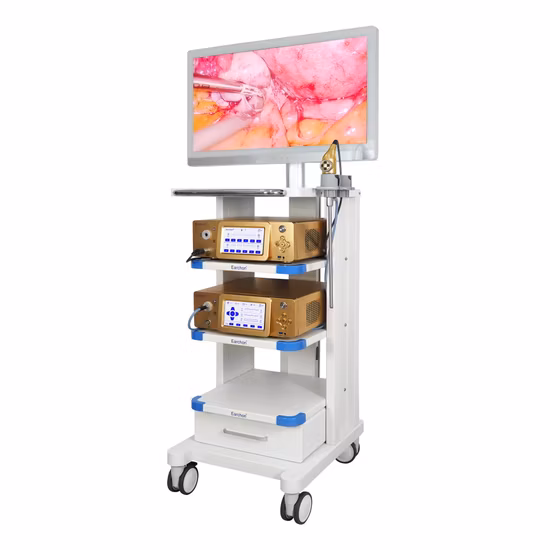 3D Endoscope Camera Endoscope Parts Medical 3D Endoscopic Camera System for Laparoscopy/Arthroscopy